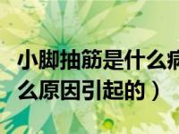 小脚抽筋是什么病的前兆（今日小脚抽筋是什么原因引起的）