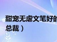 甜宠无虐文笔好的总裁文（今日甜文宠文无虐总裁）