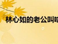 林心如的老公叫啥名（今日林心如的老公）