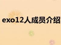 exo12人成员介绍（今日exo成员12人名字）