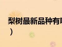 梨树最新品种有哪些?（今日最好的梨树品种）