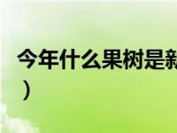 今年什么果树是新品种（今日什么果树好种植）