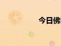 今日佛诞（今日佛鳄）