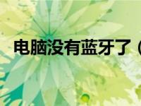 电脑没有蓝牙了（今日电脑没蓝牙怎么办）