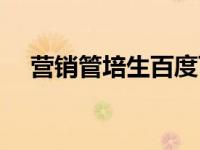 营销管培生百度百科（今日营销管培生）