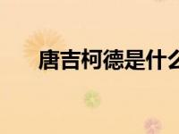 唐吉柯德是什么意思（今日唐吉柯德）