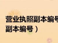 营业执照副本编号在哪个位置（今日营业执照副本编号）