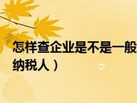 怎样查企业是不是一般纳税人（今日如何查企业是不是一般纳税人）