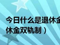 今日什么是退休金双轨制政策（今日什么是退休金双轨制）