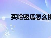 买哈密瓜怎么挑（今日哈密瓜怎么挑）
