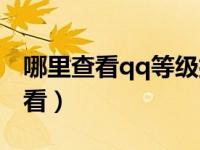 哪里查看qq等级排行（今日qq等级排名怎么看）
