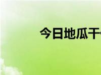 今日地瓜干价格（今日地瓜干）