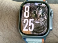 WatchOS11Beta上手体验自定义训练目标 个性化表盘等