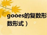 gooes的复数形式怎么写（今日goose的复数形式）