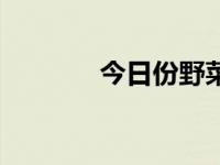 今日份野菜（今日野菜图片）