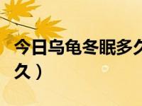 今日乌龟冬眠多久换一次水（今日乌龟冬眠多久）