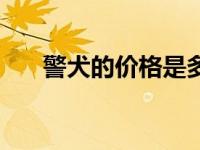 警犬的价格是多少元（今日警犬品种）