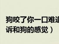 狗咬了你一口难道你要咬回去的说说（今日口诉和狗的感觉）