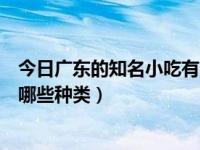 今日广东的知名小吃有哪些种类呢（今日广东的知名小吃有哪些种类）