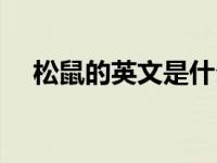 松鼠的英文是什么呀（今日松鼠的英文）