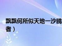 飘飘何所似天地一沙鸥对比（今日飘飘何所似天地一沙鸥作者）