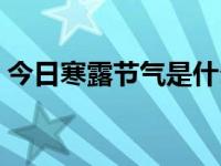 今日寒露节气是什么时刻（今日求寒露谚语）