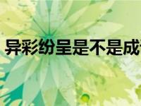 异彩纷呈是不是成语（今日异彩纷呈的意思）