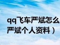 qq飞车严斌怎么不参加比赛了（今日qq飞车严斌个人资料）
