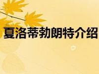 夏洛蒂勃朗特介绍（今日夏洛蒂勃朗特简介）