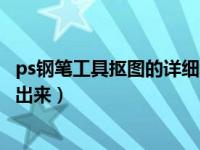 ps钢笔工具抠图的详细教程视频（今日ps钢笔抠图后怎么弄出来）