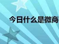 今日什么是微商平台（今日什么是微商）