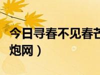 今日寻春不见春芒鞋踏遍陇头云（今日寻欢爱炮网）