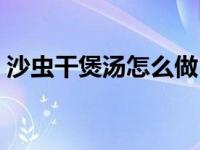 沙虫干煲汤怎么做（今日沙虫干煲汤的做法）