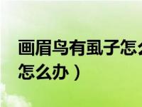 画眉鸟有虱子怎么治疗?（今日画眉鸟长虱子怎么办）