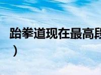 跆拳道现在最高段是谁（今日跆拳道最高段位）