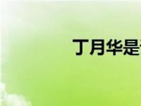 丁月华是谁（今日丁月华）