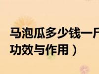 马泡瓜多少钱一斤有什么功用（今日马泡瓜的功效与作用）