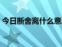 今日断舍离什么意思（今日断袖是什么意思）