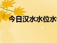 今日汉水水位水情最新消息（今日汉水）