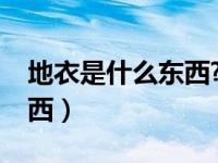 地衣是什么东西?（今日谁知道地衣是什么东西）