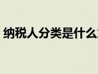 纳税人分类是什么意思（今日纳税人分几类）