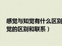 感觉与知觉有什么区别?与联系并举例说明!（今日感觉和知觉的区别和联系）