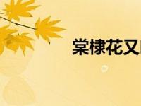 棠棣花又叫（今日棠棣花）