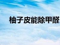 柚子皮能除甲醛（今日柚子皮能去甲醛）