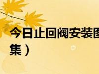 今日止回阀安装图集图片（今日止回阀安装图集）