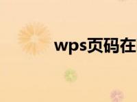 wps页码在哪（今日wps页码）