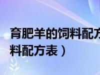 育肥羊的饲料配方有哪些种类（今日育肥羊饲料配方表）