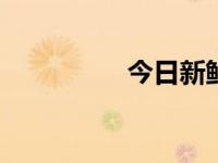 今日新鲜事（今日cnh）