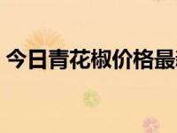 今日青花椒价格最新行情（今日青花瓷曲谱）