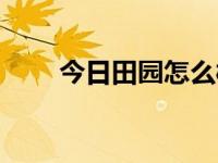 今日田园怎么样（今日田园小娇妻）